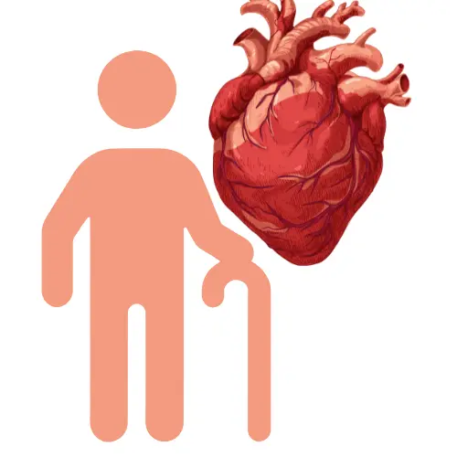 Cardiovascular Impact of COVID-19